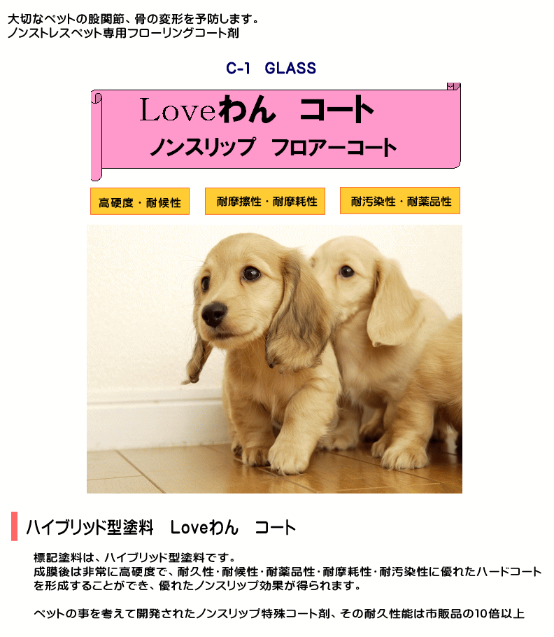 �K���X�R�[�g�@�m���X���b�v����R�[�g��