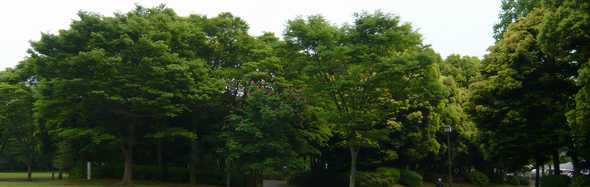 井上装建 東京 神奈川塗装