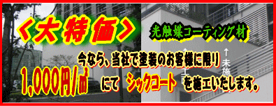 シックコート